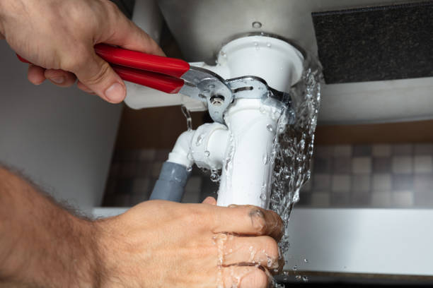 Best Water damage contractors near me  in Seville, OH