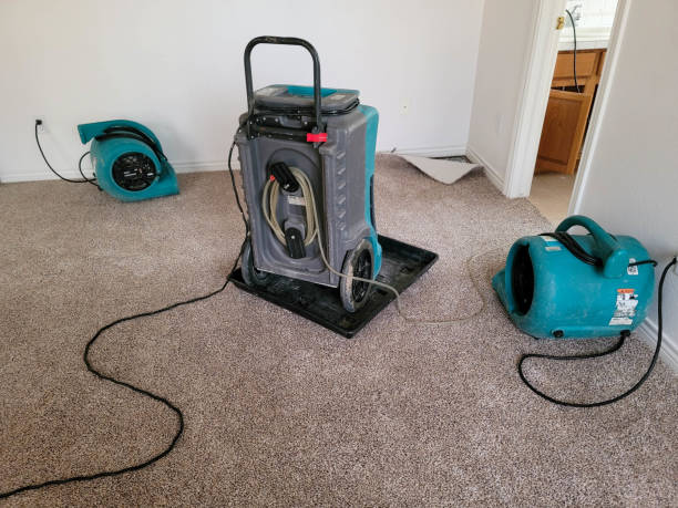 Best Emergency water extraction  in Seville, OH