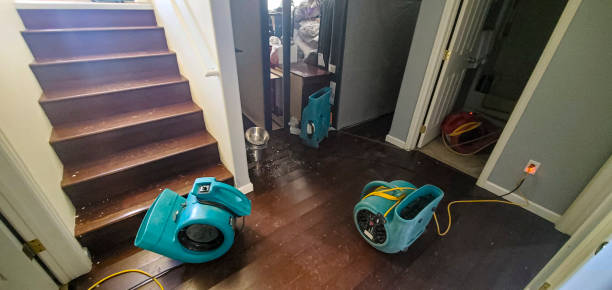 Best Sewage cleanup and water damage restoration  in Seville, OH