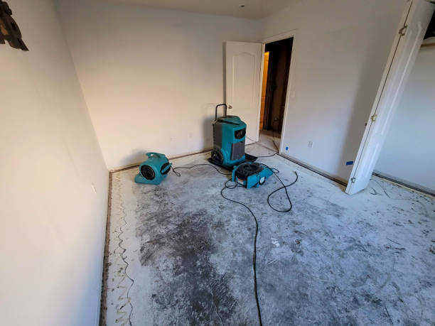 Best Basement water damage restoration  in Seville, OH