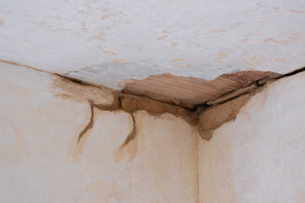 Best Water damage restoration near me  in Seville, OH