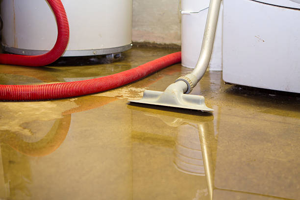 Best Water damage restoration mold remediation  in Seville, OH