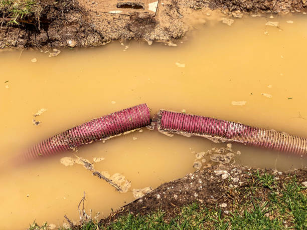 Best Water damage cleanup near me  in Seville, OH