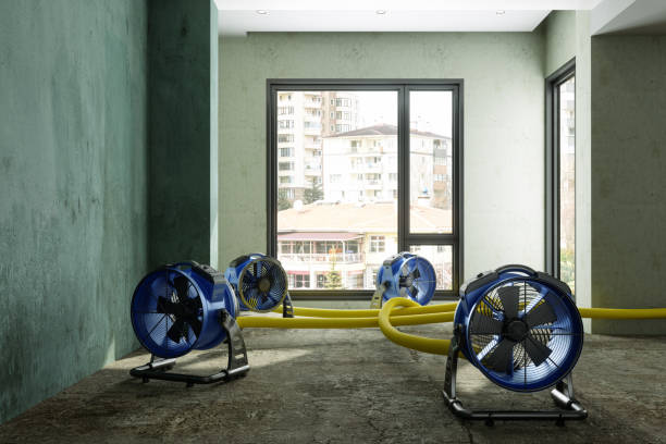 Best Mold removal after water damage  in Seville, OH